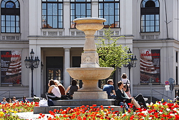 Flowering Tulips (Tulipa) at Gaertnerplatz Square in front of Gaertnerplatz Theatre, Isarvorstadt, Munich, Bavaria, Germany, Europe