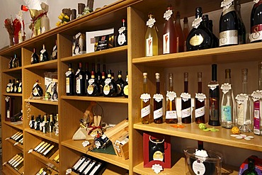 Wine bottles in a wine store, winemaker's cellar in Rote Schloss Castle, Hammelburg, Rhoen Mountains, Lower Franconia, Bavaria, Germany, Europe