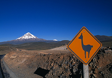 Llama crossing sign, Sajama Volcano in the background, Altiplano, Oruro Department, Bolivia, South America