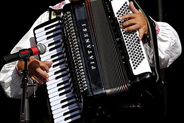 Accordionist