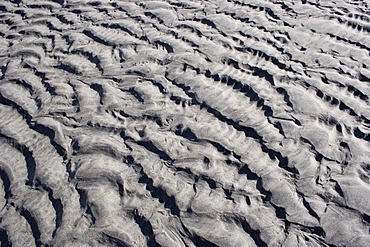 Sea-bottom of sea of Okhotsk during outflow. Magadan area, Eastern Siberia, Russia