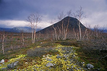 Khibiny mountains are located in Russia in Murmansk area. Kola Peninsula, Russia