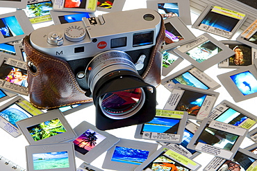 Slides laid out on a light-table, lightbox