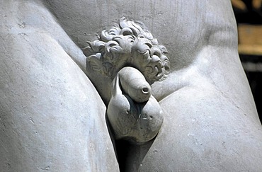 Sculpture of David of Michelangelo (detail)