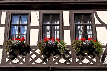 Old part of town, well-maintained timbered houses with flower boxes, Miltenberg, Bavaria, Germany