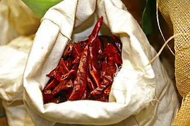 Various spices (pepper and white beans) at the market of Port Louis, Mauritius, Mascarenes, Indian Ocean