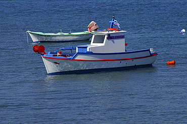 Typical Greek fishing boats in the port town of Kos, Kos, Dodekanes, Greece, Europe