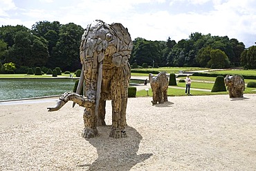 Wooden elephants, Africa Museum, Tervuren, Belgium, Europe