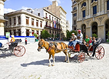 Horse and carriage for tourists in the historic city centre of Havana, Cuba, Caribbean