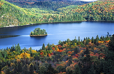 Small tree-covered island in Lake Wapizagonke surrounded by trees just changing into their autumn colours, Indian summer, Parc National de la Mauricie, Quebec, Canada