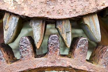 Rusty cogwheel, gearwheel, detail