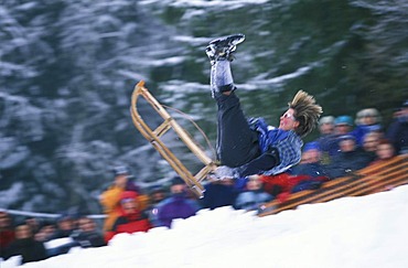 Schnablerrennen in Gaissach - sledge racing Upper Bavaria Germany