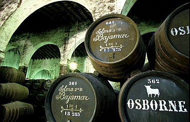 Sherry-Bodega Osborne in El Puerto de Santa Maria Costa de la Luz Andalusia Province Cadiz Spain