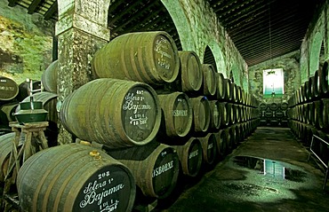 Sherry-Bodega Osborne in El Puerto de Santa Maria Costa de la Luz Andalusia Province Cadiz Spain