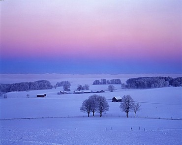 Winter morning Muensing Upper Bavaria Germany