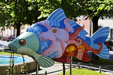 Colorfull fish in Tirschenreuth , Upper Palatinate , Bavaria Germany