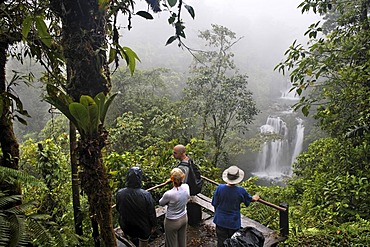 Tourist at viewpoint, waterfall, Rara Avis, Las Horquetas, Costa Rica