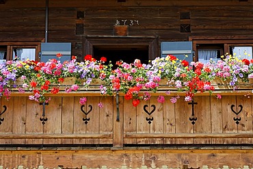 Balcony with cranesbills, Bad Wiessee, Upper Bavaria Germany