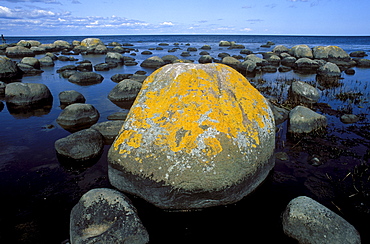 Stenshuvud National Park, Baltic Sea, Skane, Sweden