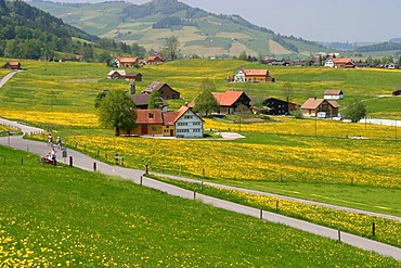 Scenery of a typical settlement with scattered buildings. This type of settlement is usually found in prealpine settings, as seen here in Appenzell (Switzerland).