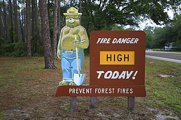 Fire Danger High Today, Mr. Smokey, Ocala Forest, Florida, USA