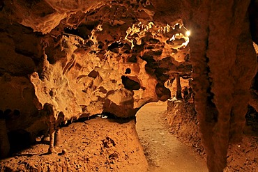 Limestone Caves at Florida Caverns State Park, Marianna, Panhandle, Florida, USA