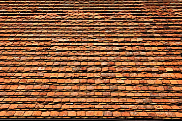 Old clay tile roofing of a farmhouse, Lassahn, Mecklenburg-Western Pomerania, Germany, Europe