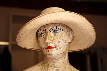 Inscribed study bust about the basic truths of life, Erlangen, Middle Franconia, Bavaria, Germany, Europe