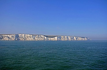 White cliffs of Dover, Dover, England, Great Britain, Europe