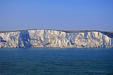 White cliffs of Dover, Dover, England, Great Britain, Europe