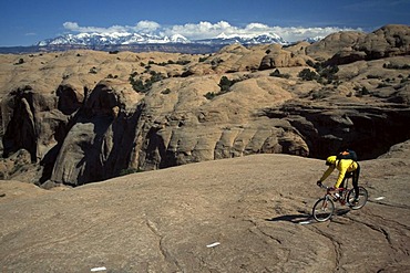 Mountain biker, Moab, Slickrock, Utah, USA