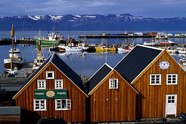 Harbour of Husavik, Iceland