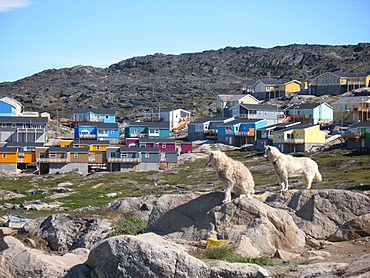 Western Greenland, Disko Bay, Ilulissat, wooden houses and