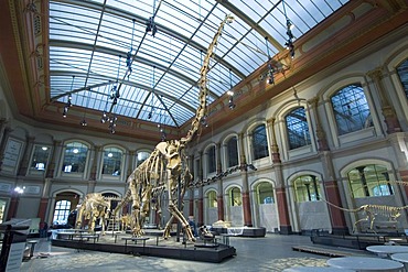 Dinosaur hall, children, Museum of Natural History, Berlin, Germany