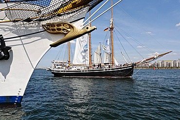 Albatross as a figurehead of the Gorch Fock, sailing school ship of the German Navy, and the Swedish Schooner named Westkust, Hanse Sail 2008 in Warnemuende, Mecklenburg-Western Pomerania, Germany, Europe