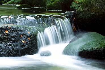 Kleine Ohe stream in fall, Nationalpark Bayerischer Wald (Bavarian Forest National Park), Bavaria, Germany, Europe