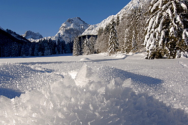 Ice crystals, Karwendel Range in the background, North Tirol, Austria, Europe