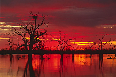 Sunset over Lake Menindee, Kinchega National Park, New South Wales, Australia, Oceania