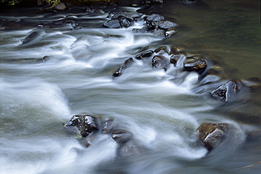 River rapids, Otway National Park, Victoria, Australia, Oceania