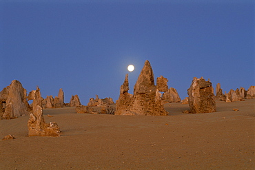 Full moon over the Pinnacle Desert, Namburg National Park, Western Australia, Australia, Oceania