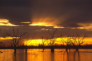 Sunset over Lake Pamamaroo, Kinchega National Park, New South Wales, Australia, Oceania