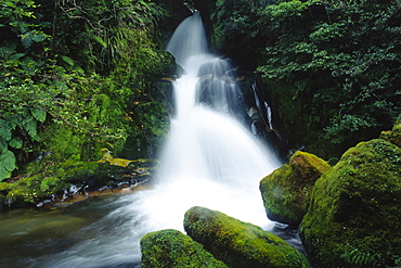 Waterfall, North Island, New Zealand, Oceania