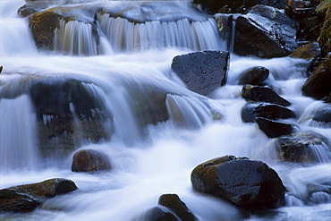 Stream detail, North Tirol, Austria, Europe