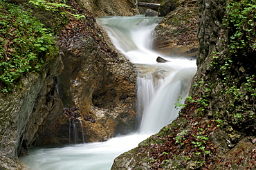 Stream, Wolfsklamm (Wolf's Gorge), Stans, North Tirol, Austria, Europe