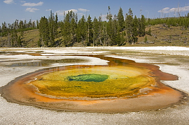 Chromatic Spring in Upper Geyser Basin, Yellowstone National Park, Wyoming, USA