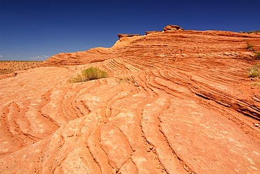 Above the Slot Canyon of the Lower Antelope Canyon, Navajo Tribal Park, Page, Arizona, USA, North America