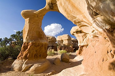 Metate Arch sandstone formations in the Devils Garden, Grand Staircase-Escalante National Monument, Utah, USA, North America