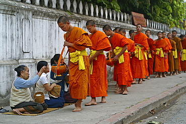 Monks and novices begging for their daily food in Luang Prabang, Laos