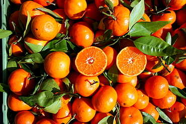 Oranges on a market, Sineu, Majorca, Spain, Europe