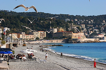 Seagulls flying over the beach, Nice, Cote d'Azur, France